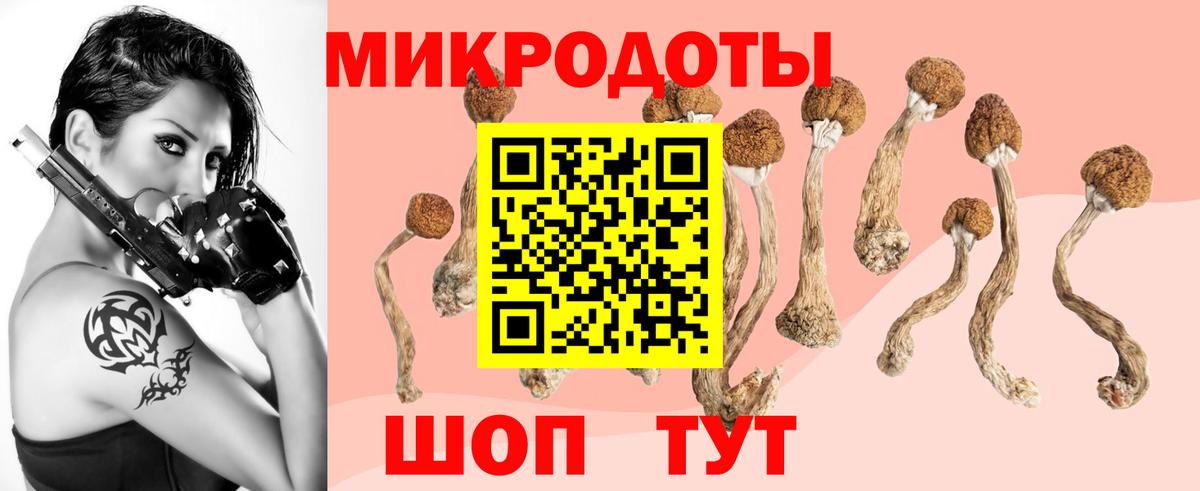 Галлюциногенные грибы ЛСД Асино